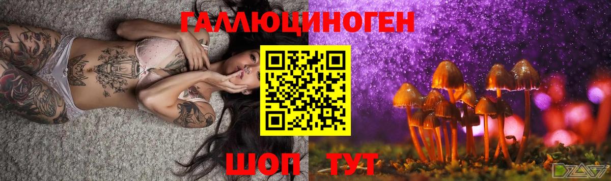 купить наркоту  Вход с VPN  Хасавюрт  Галлюциногенные грибы Psilocybine cubensis 